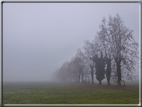 foto Pedemontana Veneta nella nebbia